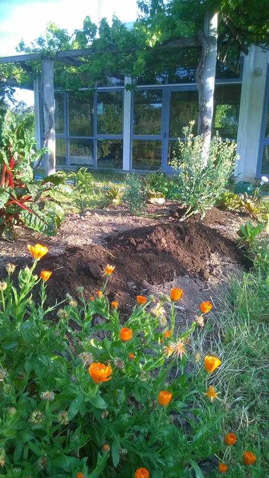 14708300_10153798099162234_574631558681230150_n