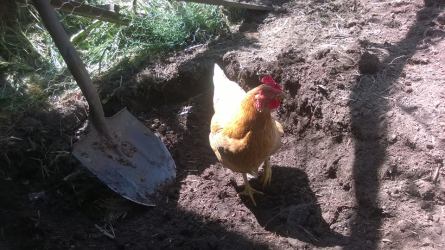 14731315_10153798098487234_3398684329216203129_n