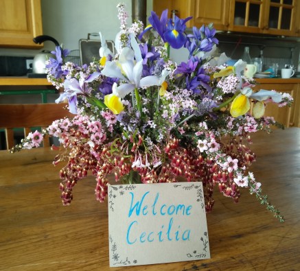 welcome Cecilia.jpg